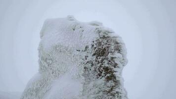 sneeuw lagen accumuleren Aan rots in de moeilijk stormachtig verkoudheid weer in winter video