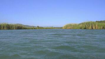 een rivier- omringd door riet Aan een vlak duidelijk video