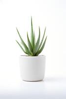 foto de áloe vera en minimalista maceta como planta de casa para hogar decoración aislado en blanco antecedentes. generativo ai