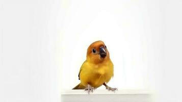 Photo of a lovebird on white background. Generative AI