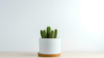 foto de cactus en minimalista maceta como planta de casa para hogar decoración aislado en blanco antecedentes. generativo ai