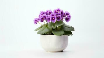 Photo of Saintpaulia in minimalist pot as houseplant for home decoration isolated on white background. Generative AI