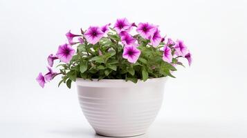 Photo of Petunia in minimalist pot as houseplant for home decoration isolated on white background. Generative AI