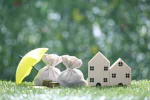 Finance, Model house and money bag on natural green background,Business investment and Save money for prepare in future concept photo