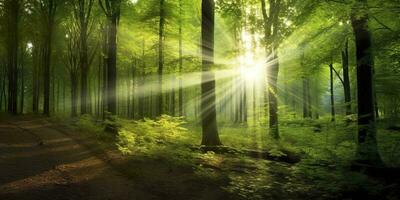 Beautiful rays of sunlight in a green forest. Generative AI photo