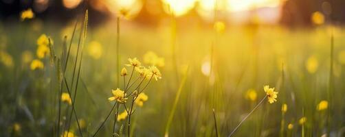 Tranquil spring summer nature closeup and blurred forest background. Generative AI photo