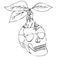 skull with mandrake in black silhouette doodle illustration in halloween style vector