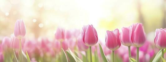 Beautiful pink Tulip on a blurred spring sunny background. Generative AI photo