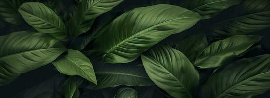 Abstract green leaf texture with nature background, tropical leaf. Generative AI photo