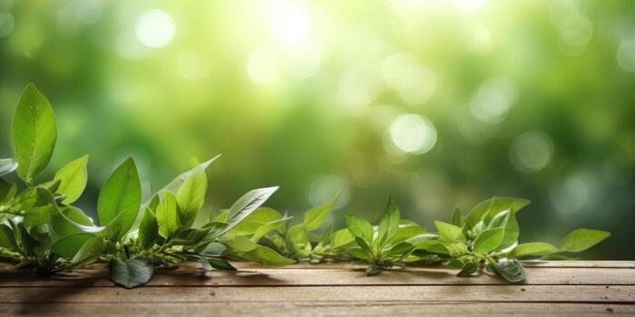 Beautiful floral, green background with space for text. Spring background. photo