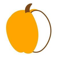 pumpkin yellow autumn food line element icon vector