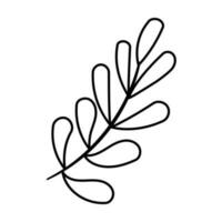 leaf branch line forest doodle element icon vector