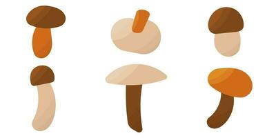 mushrooms autumn forest pick color set elements vector