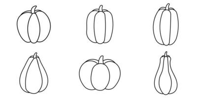 pumpkins autumn food set elements line doodle photo