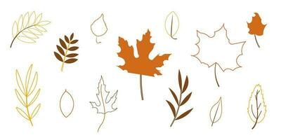 leaves line autumn set elements forest colored vector