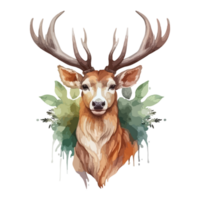 cerf contre le Contexte de le forêt, faune forêt animal illustration png