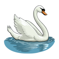 Schwan schwimmt im See png