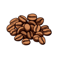 koffie bonen hand- tekening schetsen gravure illustratie stijl png