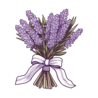 Purple lavender flowers arranged in a small bouquet, romantic bouquet of purple lavender png