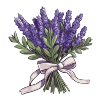 lila lavendel- blommor anordnad i en små bukett, romantisk bukett av lila lavendel- png