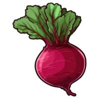 healthy beetroot illustration, Vegetable Hand drawn doodle illustration png