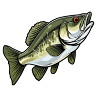 Bass fish illustration, freshwater sportfishing png