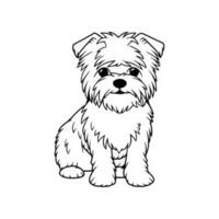 Affenpinscher, mano dibujado dibujos animados personaje, perro icono. vector