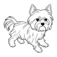 Affenpinscher, mano dibujado dibujos animados personaje, perro icono. vector