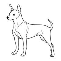 basenji, hand drawn cartoon character, dog icon. vector