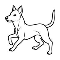 basenji, mano dibujado dibujos animados personaje, perro icono. vector