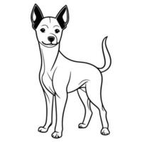 basenji, hand drawn cartoon character, dog icon. vector
