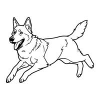 Belgian shepherd, hand drawn cartoon character, dog icon. vector