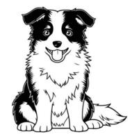 border collie, hand drawn cartoon character, dog icon. vector