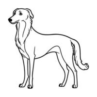 Borzoi, hand drawn cartoon character, dog icon. vector