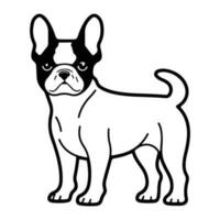 Boston Terrier, hand drawn cartoon character, dog icon. vector