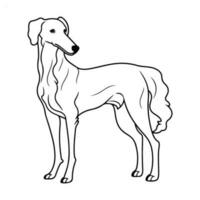 Borzoi, hand drawn cartoon character, dog icon. vector