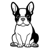 bostón terrier, mano dibujado dibujos animados personaje, perro icono. vector