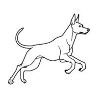 Doberman dog, hand drawn cartoon character, dog icon. vector