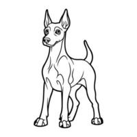 Doberman dog, hand drawn cartoon character, dog icon. vector