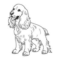 Inglés cocker spaniel perro, mano dibujado dibujos animados personaje, perro icono. vector