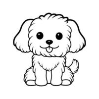 maltés perro, mano dibujado dibujos animados personaje, perro icono. vector