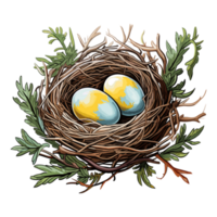 Bird nest with egg clipart, Illustration of a Bird Nest with Egg. png