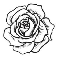 Rose icon, Simple rose blossom illustration. vector