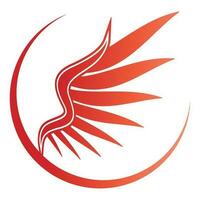 Bird wings illustration logo. vector