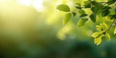 hermosa floral, verde antecedentes con espacio para texto. primavera antecedentes. generativo ai foto