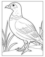 Cute Bird Coloring pages for kids, Bird illustration, Bird vector, Black and white vector