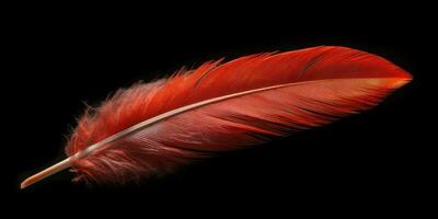 Red feather close up on black background. Generative AI photo