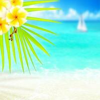 Tropical beach border photo