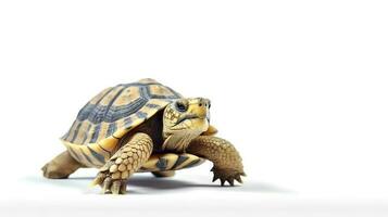 Photo of a turtle on white background. Generative AI