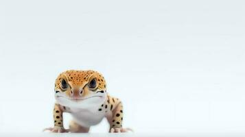 Photo of a leopard gecko on white background. Generative AI